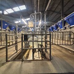 10 Unit Dairymaster Parlour