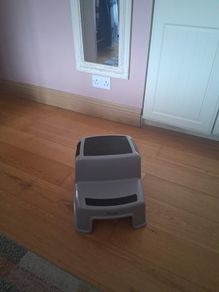 Childrens two step stool