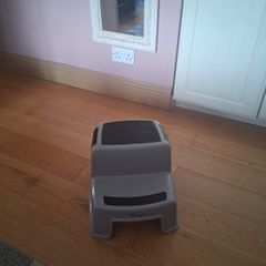 Childrens two step stool