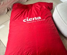 Jumbo Elephant Bean Bags