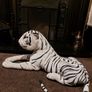 large white tiger Image 2