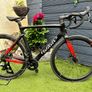 Wilier Triestina Centro 10 SL Image 2