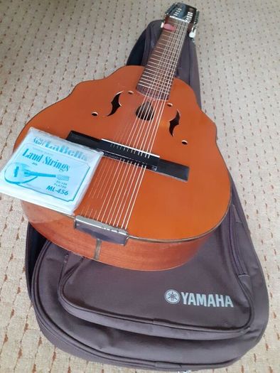 12 string laud