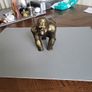 Gorilla bronze colour Image 6