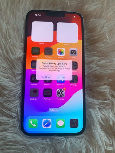iPhone 13 pro max