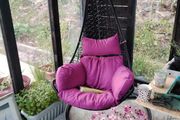 Hanging Swings Eggs Metal Frame Free Delivery