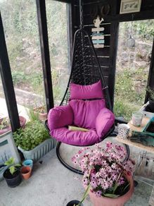 Hanging Swings Eggs Metal Frame Free Delivery