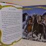 Horse And Pony Stories By Miles Kelly Image 6