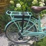 Electric Bike Image 5