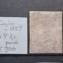 Ceylon stamps 1857 Image 2
