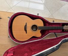 Guitar Mcilroy 12 String Cutaway