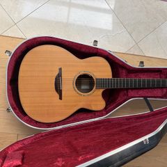 Guitar Mcilroy 12 String Cutaway