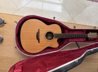Guitar Mcilroy 12 String Cutaway