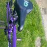 Frog bike 62 Image 2