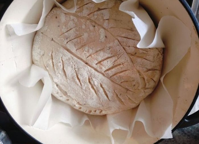 sourdough starter