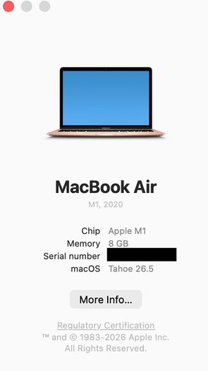 Apple MacBook Air M1 A2237 (2020) in Rose Gold