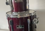 Pearl export toms