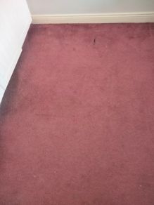 carpet