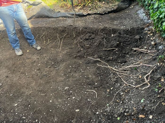 Free top soil