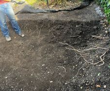 Free top soil