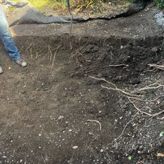 Free top soil