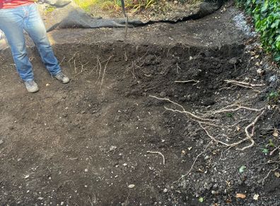 Free top soil