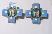 Dublin Badges