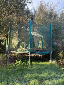 12ft Trampoline free