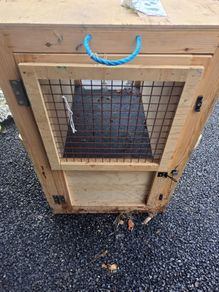 Dog wooden crate / carrier
