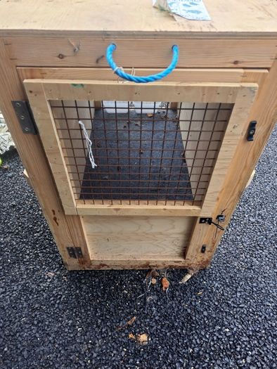 Dog wooden crate / carrier