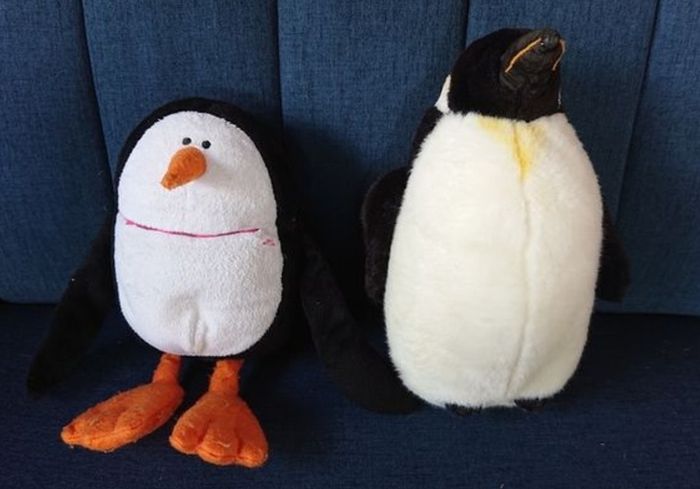 Atlanta Braves / Penguin Soft Toys