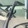 trek marlin 5 Image 2