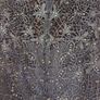 Dynasty London new Debs/evening dress (free postage) Image 9