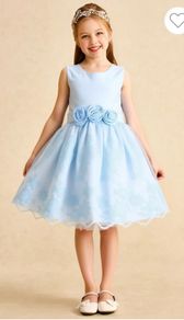 Confirmation dress