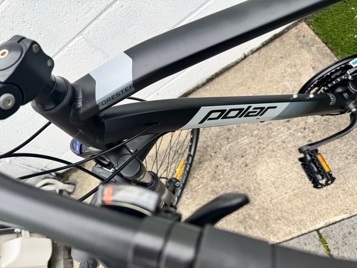 Polar Forester Pro