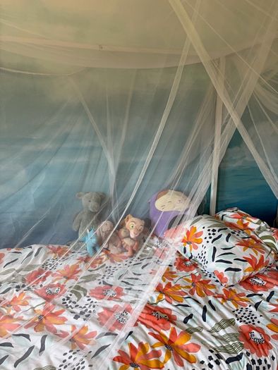 Canopy double bed with mosquito net