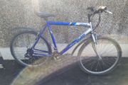 bike needs fixing