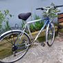 Goldrush bike Image 2
