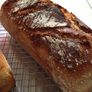 Sourdough bread starter, fully organic Image 4