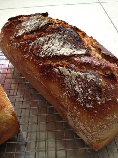 Sourdough bread starter, fully organic