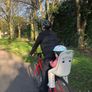 Child Bike Seat Image 2