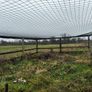 Hen Run Image 2