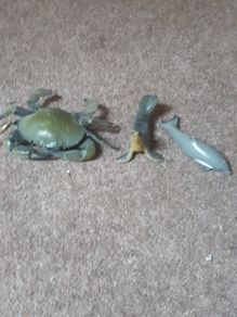 Sea animals bundle