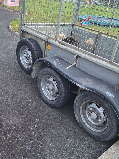 ifor williams