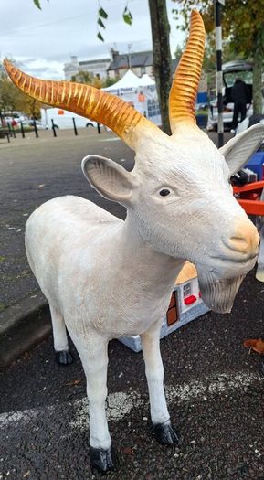 Big Christmas Price Drop for Religious Statues And Our Animal Selection From Now Until Christmas Collected From Dungarvan Co Waterford.