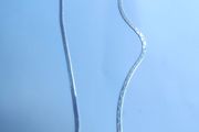 Sterling silver ladies  necklace chain