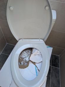 Toilet Seat