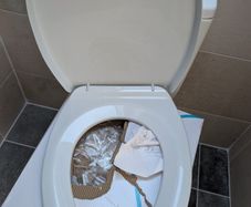 Toilet Seat