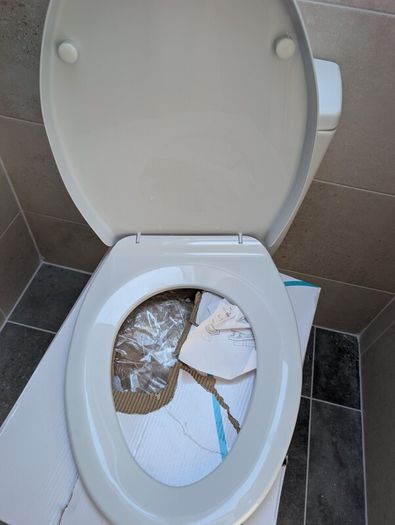 Toilet Seat