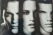 The Twilight Saga